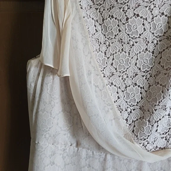 Ann Taylor-Beige lace sheath dress with chiffon overlay on right side Sz 16P - Picture 5 of 8